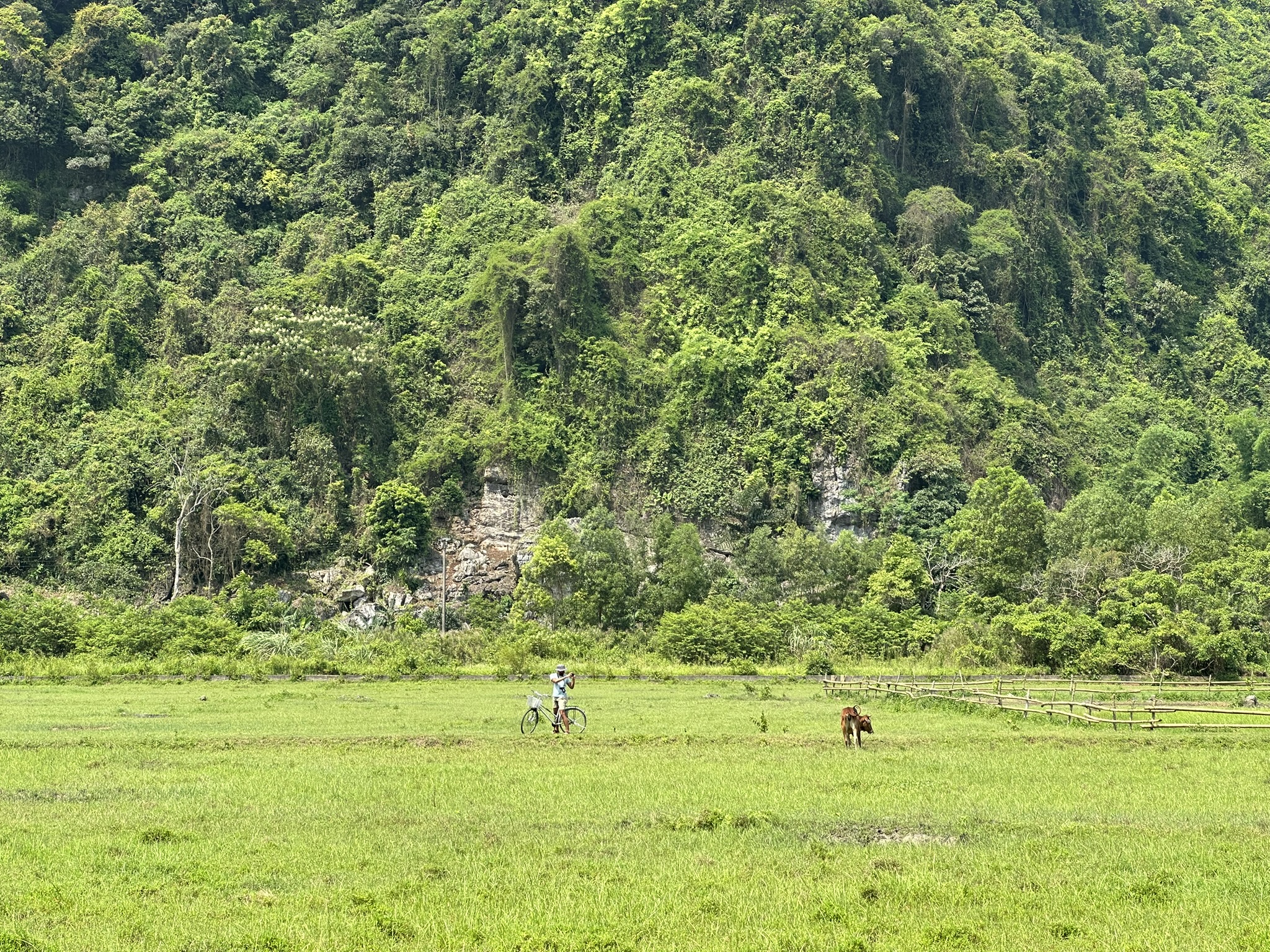 Cảnh Vịnh Hạ Long